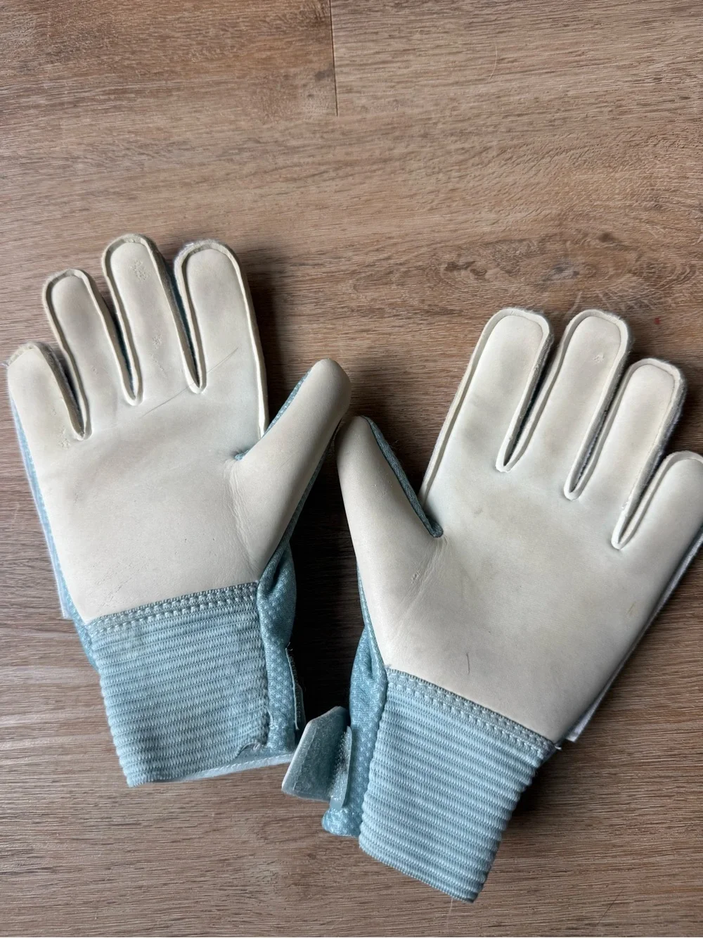 Youth Goalie gloves
